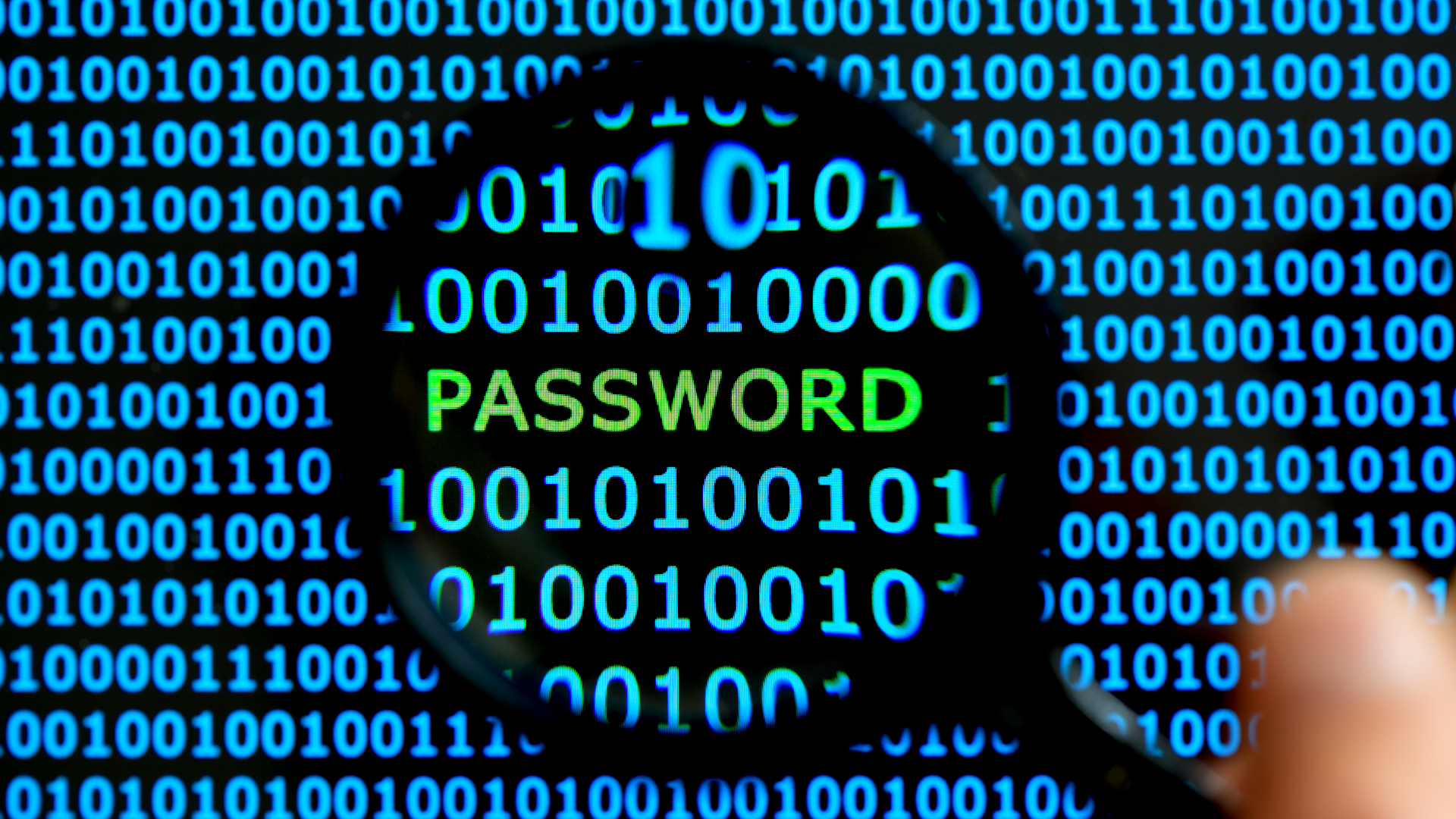 passwords on dark web